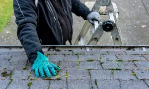 Skuteczne sposoby na pozbycie się mchu z dachówki – proste metody i porady