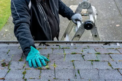 Skuteczne sposoby na pozbycie się mchu z dachówki – proste metody i porady