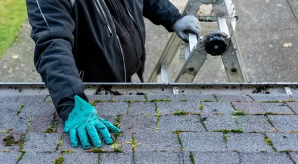 Skuteczne sposoby na pozbycie się mchu z dachówki – proste metody i porady