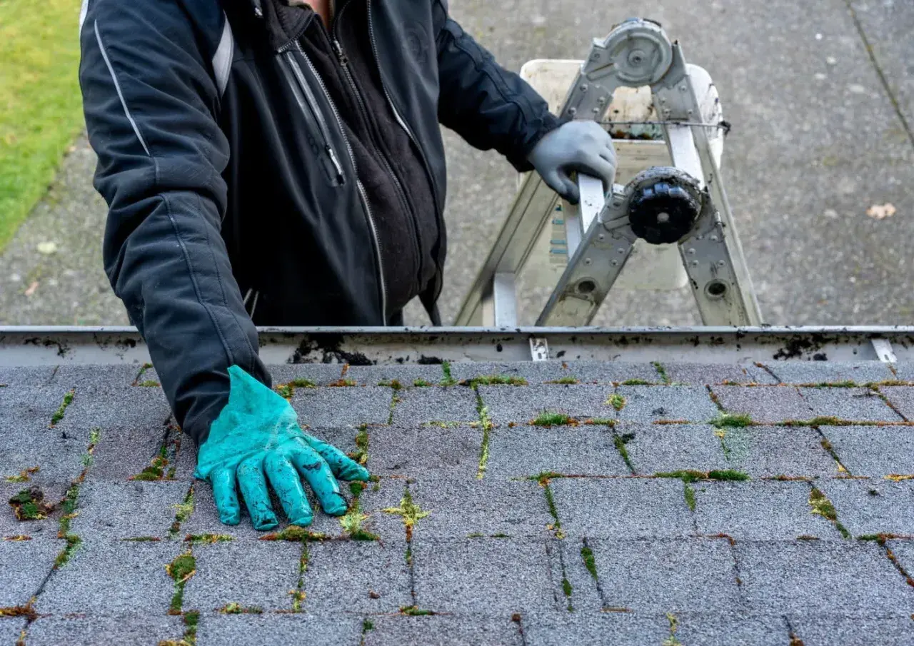 Skuteczne sposoby na pozbycie się mchu z dachówki – proste metody i porady